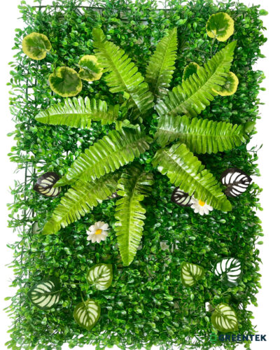 Plantas